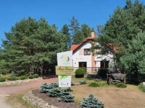 Agro Breza dom z kominkiem 80 metrów od jeziora - sauna, balia ogrodowa in Śluza